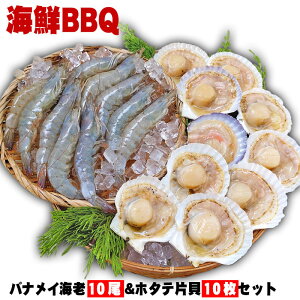  oiCCVz^eZbg CNBBQ [oiCCV×10  z^eЊL10Zbg][Ⓚ]o[xL[ CNo[xL[ CVƔLBBQZbg