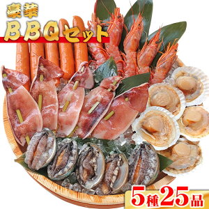 @ BBQ525iZbg[ECJEԊCVEtNtgEz^eЊLEG]Ar][Ⓚ]o[xL[BBQZbg