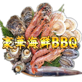 送料無料　豪華海鮮BBQ6種セット[・岩牡蠣・赤海老・サザエ・スルメイカ・エゾアワビ・ホタテ片貝][冷凍]バーベキュー 海鮮バーベキューBBQセット