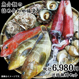 魚介類の詰め合わせ【6980円セット】福袋(魚介類4〜8品程度入) 【送料無料】鮮魚セット