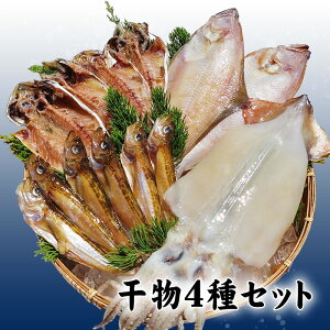 Mtg v[gy4Zbgzyn^n^銱EJC銱EJ銱EJ銱z[Ⓚ]銱 MtgZbg 蕨 Mtg 
