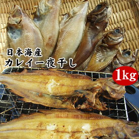 【日本海産カレイ一夜干し1kgセット】【冷凍】送料無料【1配送先で2セット以上お買い上げで1セット増量】*