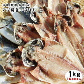 【送料無料】日本海の鯵干物！【アジ開き一夜干し】1kgセット［日本海産］〔冷凍〕干しあじ ギフト 干物 お中元 ギフト