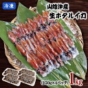 【予約】2025年新物【A級】生ホタルイカ 1kg（250g×4パック）【送料無料】*【2セットご購入で500gプレゼント】山陰沖産[冷凍]【いか】【イカ】【蛍烏賊】ほたるいか ギフト　ssfs20250304