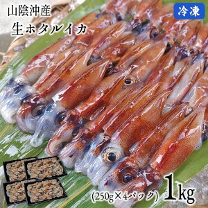 yAzz^CJivgj 1kgi250g×4pbNjyzRAY[Ⓚ]yzyCJzyuGzق邢 }Ⓚ Mtg@ssfs20250304