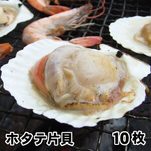 yЊLz^e10Zbgz(500g)[Ⓚ]LEقāyo[xL[ɂXXz