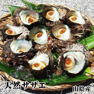 yzVRTUG[ǂ1Llߍ݃Zbg咆][]*y1z2Zbg(2kg)1Zbg(1kg)v[gIv3Zbg(3kg)ŔzTUG @Lyg莟