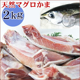 楽天市場 キハダマグロ 冷凍の通販