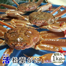 【予約販売】[発送時に活きている]活松葉がに[訳あり][足折れ混じり]超特大　1枚(1kg前後)【送料無料】松葉ガニ　まつば　蟹　カニ　かに　松葉 ガニ【11月中旬以降漁が有り次第出荷予定】