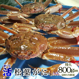 【予約販売】[発送時に活きている]活松葉がに[訳あり][足折れ混じり]特大　1枚(800g前後)【送料無料】蟹の本場！鳥取県　松葉ガニ　まつば　蟹　カニ　かに　松葉 ガニ【11月中旬以降予約順出荷予定】ss1204