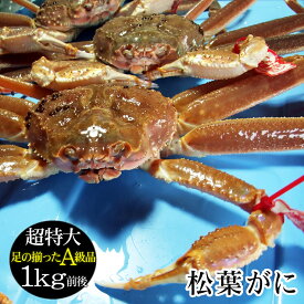 【予約販売】[タグ付：贈答用]松葉がに[生]超特大　1枚(1kg前後)【送料無料】蟹の本場！鳥取県　松葉ガニ　まつば　蟹　カニ　かに【楽ギフ_のし】松葉 ガニ【11月中旬以降漁が有り次第】