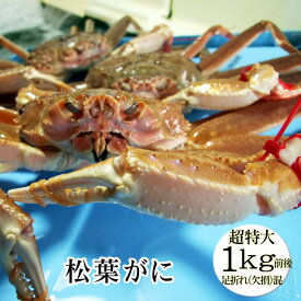 【予約販売】松葉がに[生][訳あり][足折れ混じり]超特大　1枚(1kg前後)【送料無料】蟹の本場！鳥取県　松葉ガニ　まつば　蟹　カニ　かに　松葉 ガニ【11月中旬以降漁が有り次第】
