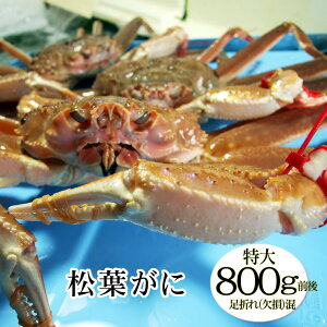 y\̔zt[][󂠂][܂ꍬ]@1(800gO)yztKj@܂΁@I@Jj@Ɂ@t Kjy11{ȍ~L莟z