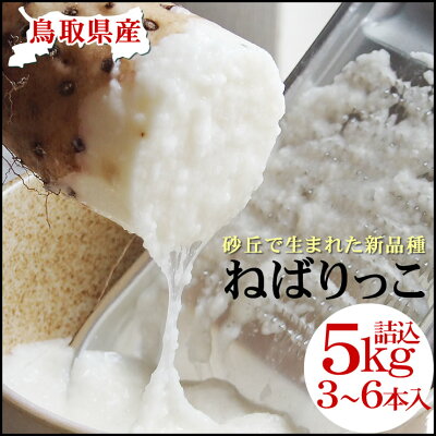 砂丘ながいもねばりっこ