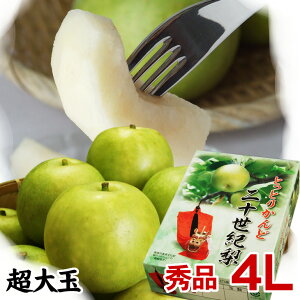 y\zyiɍœK!!z\I[ip] 5-6ʃZbg(4L)y挧Yz (ǒnY)ϔi20Ijiَqy9{ȍ~\񏇏oח\z
