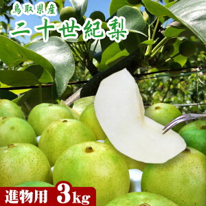 y\z() \Iyipz 3kgZbgyzy挧Yzi20Ij ay9{ȍ~n莟oׁz