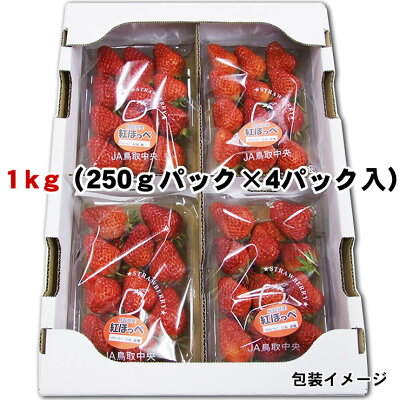楽天市場 紅ほっぺ 鳥取県産いちご 1ｋｇ程度 250ｇ 4パック入り箱 送料無料 苺 イチゴ 本物を追求する フォーシーズン