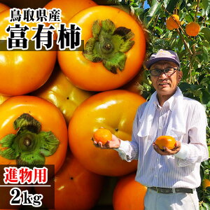 yV|t@[YzxL`(ӂ䂤)(ip)@2kgZbgi6-8ʁj [挧Y][퉷]11{ȍ~\to