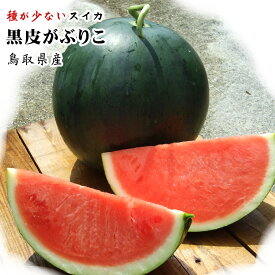 【予約販売】【棚落ち訳あり　自家用】河本農園の大玉黒皮スイカ（がぶりこ)1玉(6-8kg程度)（L-3L）【送料無料】【常温】種が少なく甘い【平均糖度12度！】【7月下旬以降予約順出荷予定】すいか　鳥取スイカ