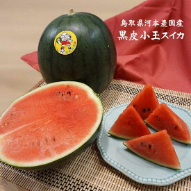 予約！【送料無料】【河本農園産】小玉黒皮スイカ(3-6玉で約8-10キロ程度)【訳あり】【常温】鳥取県産【9月中旬以降予約順出荷予定】　カービング ss0904