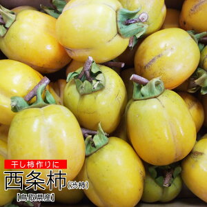 干し柿の通販 価格比較 価格 Com