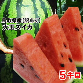 【予約販売】送料無料！［訳あり］河本農園スイカ（1玉5kg程度)M［鳥取県産西瓜］［常温]6月中旬以降収穫があり次第出荷すいか　鳥取すいか ssfs0604