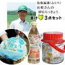 （芽止め塩漬け）送料無料！漬け初心者【3点(らっきょう：酢：漬け瓶)】セット 本場福部(ふくべ)産『山根さんの砂丘ら…