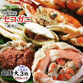 【予約販売】[生]（超特大サイズ）セコガニ（親がに・勢子がに)【訳あり】3枚セット(220g前後！が3枚入)【送料無料】未冷凍の松葉せいこ蟹 カニ かに 蟹 せこがに【到着日指定不可】【11月中旬以降予約順出荷予定】ss1204
