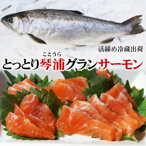 yzƂƂՉYOT[i{BEgEgT[j1Ci2-2.9kgxj[]①ցi挧Yj
