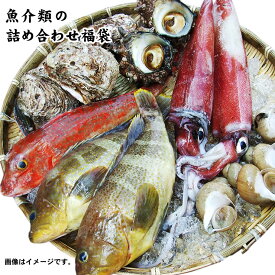 魚介類の詰め合わせ3980円セット福袋(魚介類2〜4品程度入) 【送料無料】