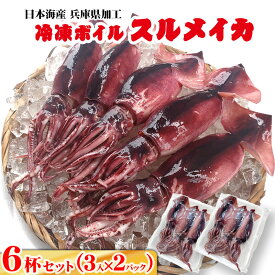 【送料無料 6杯入り！】冷凍 スルメイカ（ボイル済み）6杯セット[冷凍]【急速冷凍】するめいか・むぎいか シマメイカ しまめいか バーベキュー ssfs20250304