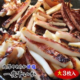 送料無料　一夜干しいか[するめいか](大3枚)セット！肉厚柔らかで甘塩仕立て【冷凍】スルメイカ　イカ　いか　お歳暮　ギフト お中元 父の日　ssfs0604