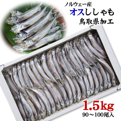楽天市場 オスししゃも一夜干し1 5kgセット 90 100匹程度 ノルウェー産鳥取県境港加工 冷凍 本物を追求する フォーシーズン