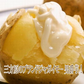 旨いジャガイモ　たちばなファーム 三方ヶ原のジャガイモ 5kg(s~2L) きたあかり 静岡県 肌のきれいなジャガイモ 男爵いも 浜松 野菜 お取り寄せ