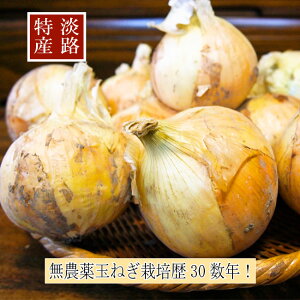 新 玉ねぎ お取り寄せの人気商品 通販 価格比較 価格 Com 新 玉ねぎ お取り寄せの人気商品 通販 価格比較 価格 Com