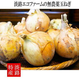 無農薬新玉ねぎ【送料無料】(北海道・沖縄・離島を除く)淡路島の無農薬玉ねぎ 甘くて シャキシャキ 辛みなし 無化学肥料 栽培歴35年以上 玉ねぎ プロも認める高品質 甘味 特別栽培 兵庫県産 淡路エコファーム産地直送 オーガニック