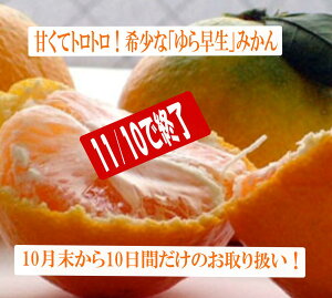 11/8出荷/終了!甘くてトロットロ ゆら早生みかん3kg,5kgの2種類 甘い 温州みかん 高糖度 エコファーマー 減農薬 高糖度 有田みかん リピート率NO1 産地直送