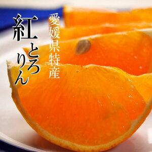 NX^[gIQ _݂ gƂ3kg ԁEʌIƂ낯 ~J _򊹋k Ε Mtg Q l g܂ǂ