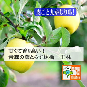 11{X^[gI߂ɂǂ@X _ Á`3`10kg ^I Mtg qlɑlC tƂ炸ь̉l 炲ƐHׂ Xʍ͔|F Yn _͔| 