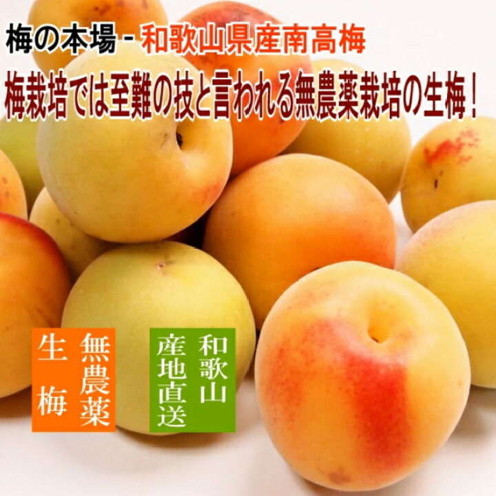 楽天市場】紀州 無農薬南高梅使用 昔ながらの無添加梅干し/3年もの  