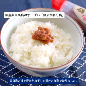 {̐HցyY/R͔|썂~zVŒЂÂȂ~̂˂~120g×3{i18j/V/IBYia̎Rj/݂Ȃג/ς/p/~ݔԒ^Ȃ/ȒPE