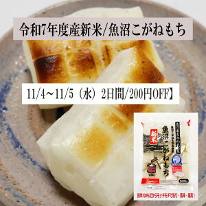 VāIY V ˂600g×2i24؂j ˂100gp ʍޕsgp n ߘa5NxYV Y ̂Ȃ̔ S  | Q