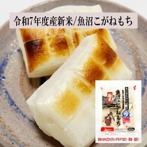 Y V ˂600g×4i24؂j ˂100gp ʍޕsgp n ߘa5NxYV Y ̂Ȃ̔ S  | Q