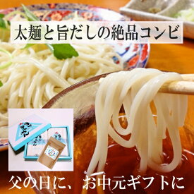 【お中元ギフト】知る人ぞ知る極上の麺ギフト／半田手延べそうめんと極上出汁パックセット半田そうめん（100g×10本） 玄人はだし160g（お徳用） 料亭の味 そうめん 天然だしパック 10種類の無添加天然だし