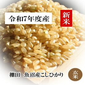 新潟 魚沼こしひかり棚田米/玄米 3kg,5kg,10kg 【送料無料】令和7年度産 魚沼産こしひかり 棚田米 新潟産 こしひかり 棚田米 幻の米 沢水育ち 送料無料 甘み 旨味 食味 モチモチ感 冷えてももっちりお取り寄せ 米 農家直送