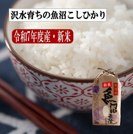 新米 新潟 魚沼こしひかり棚田米/白米 5kg 令和7年度産【 送料無料一部地域別途 】幻の米 棚田米 産地直送 お取り寄せ ギフト 贈り物 お歳暮 お中元 お祝い こだわり おいしいごはん プレゼント 精米 つやつや