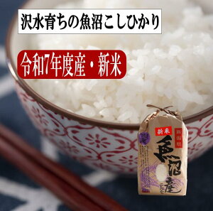 VăX^[gIߘa7NxYV V ЂIc/ 3kg,5kg,10kg y ꕔnʓr z̕ Ic Yn  Mtg 蕨 Ε  j  