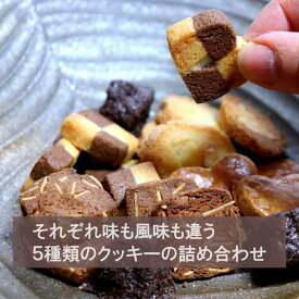 母の日ギフトに!バター風味とサクサクの手作りクッキー5種類セット 焼き菓子 サックサク バター風味 パンフルート 無添加 産地直送 焼きたて 産地直送 ホワイトデー