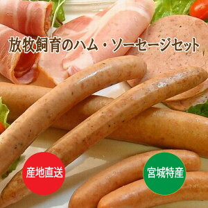 ΕMtgIq100%gp n \[Z[WycKn Yq؂̃nE\[Z[W5ދlߍ킹zʍ Y q Y {錧Y Yn ăMtg OMt