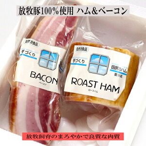 ΕMtg! SŗBq100ōcKñ[Xni500gjƃx[Ri300gjlߍ킹 z[p[eB ׁ[׃L[ ̓ ̓ hV̓ ΕMtg ʍ Y